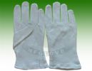 Cotton Glove (5008)
